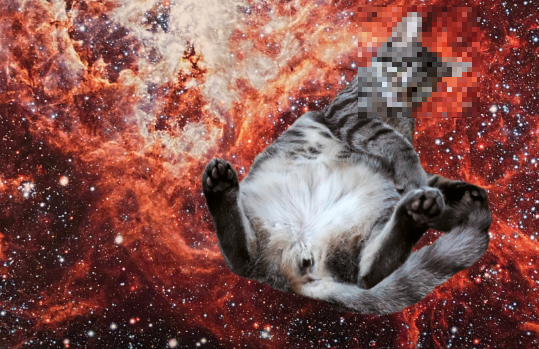 Bubatzhelden überall